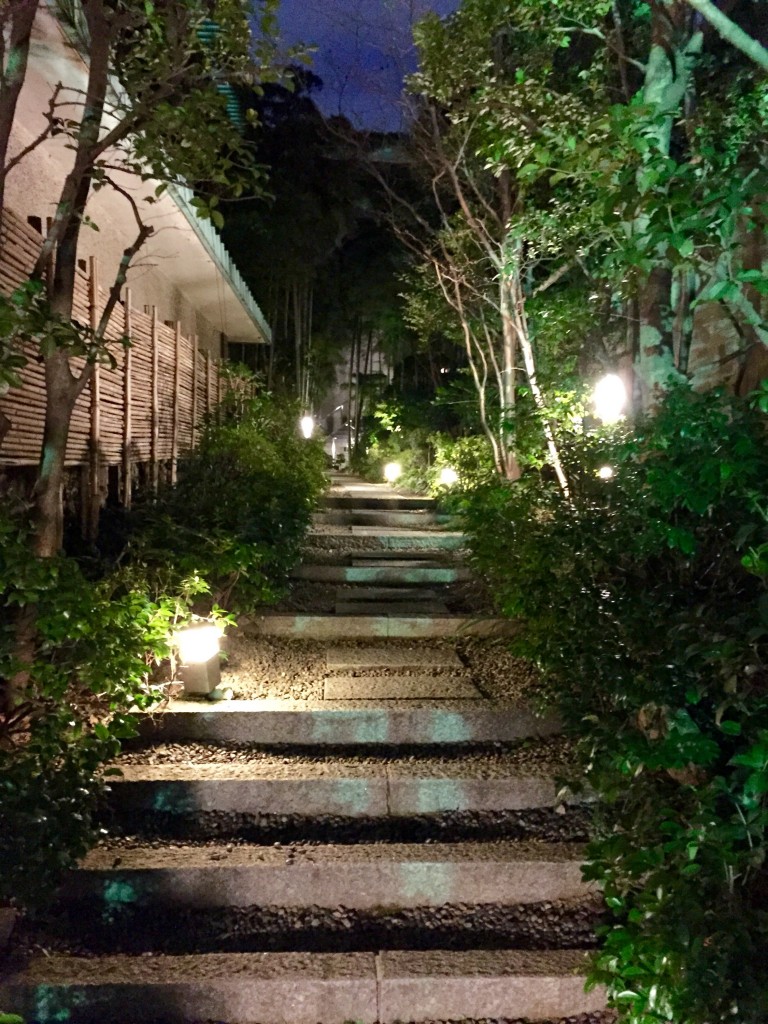 bamboo_path.JPG