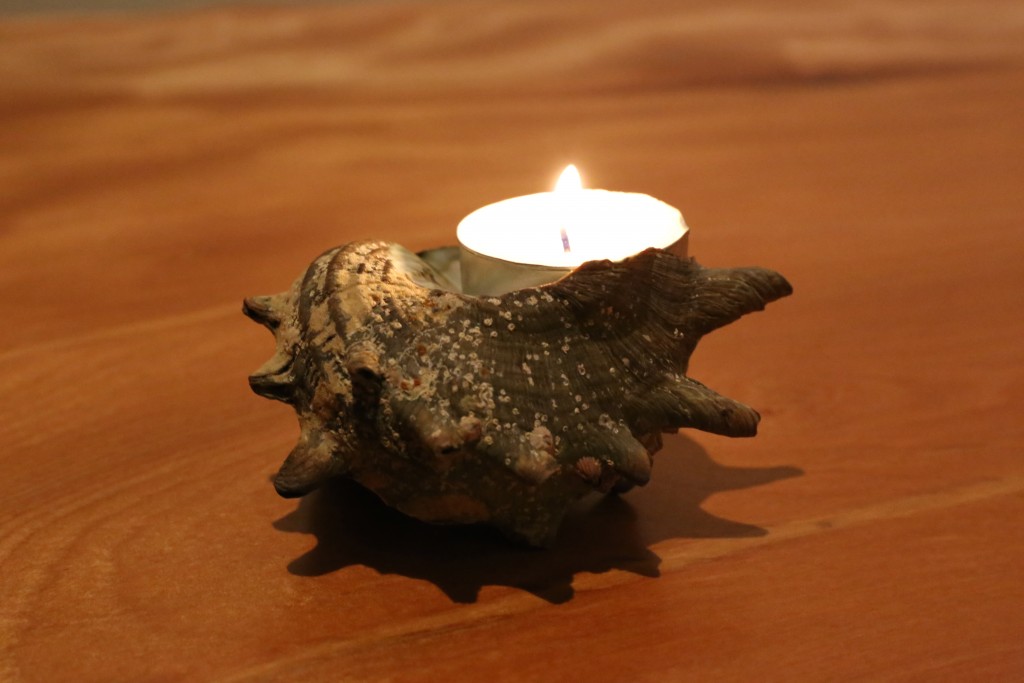 turban_shell_candle1